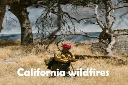 California wildfires