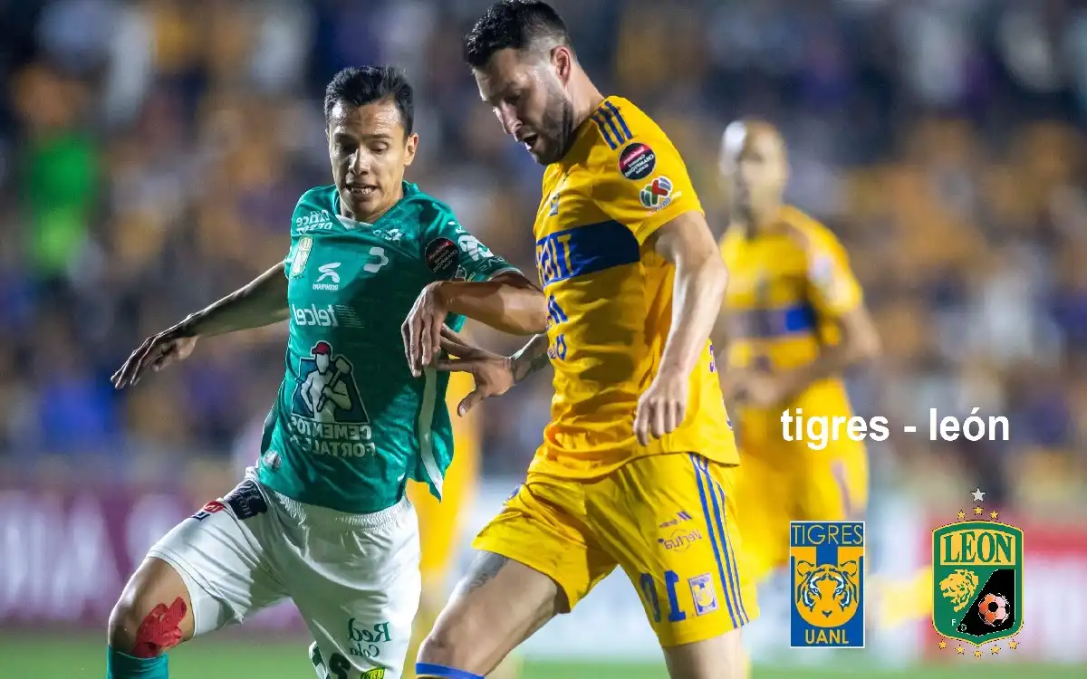 tigres - león